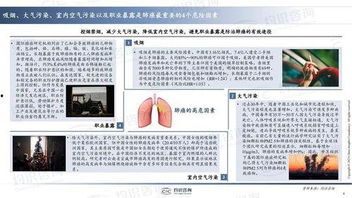 国产31页,揭秘中国电影产业的新篇章