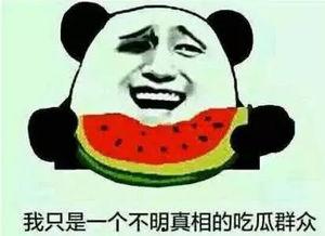 娱乐吃瓜有趣名字大全图片,趣味横生！盘点娱乐圈那些搞笑的“吃瓜”昵称